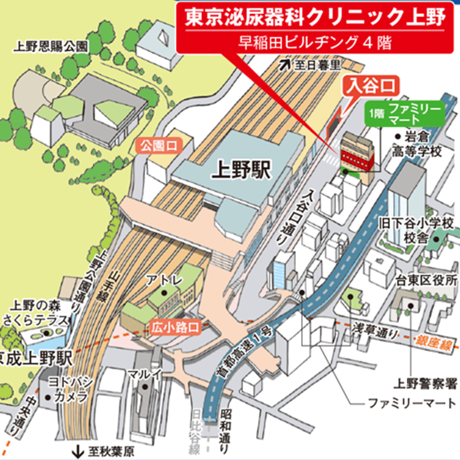 上野店マップ